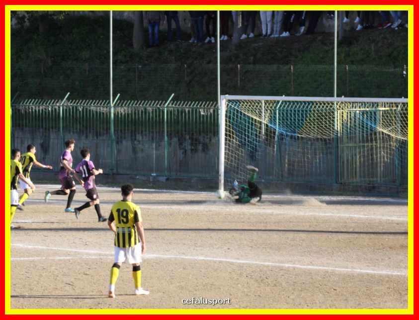 190310 Cephal_Torrenov 179_tn.jpg